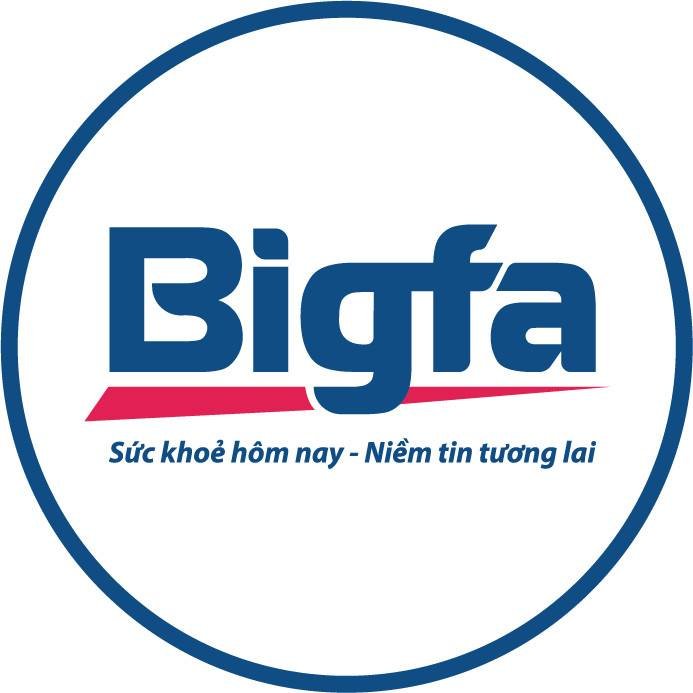 logo bigfa