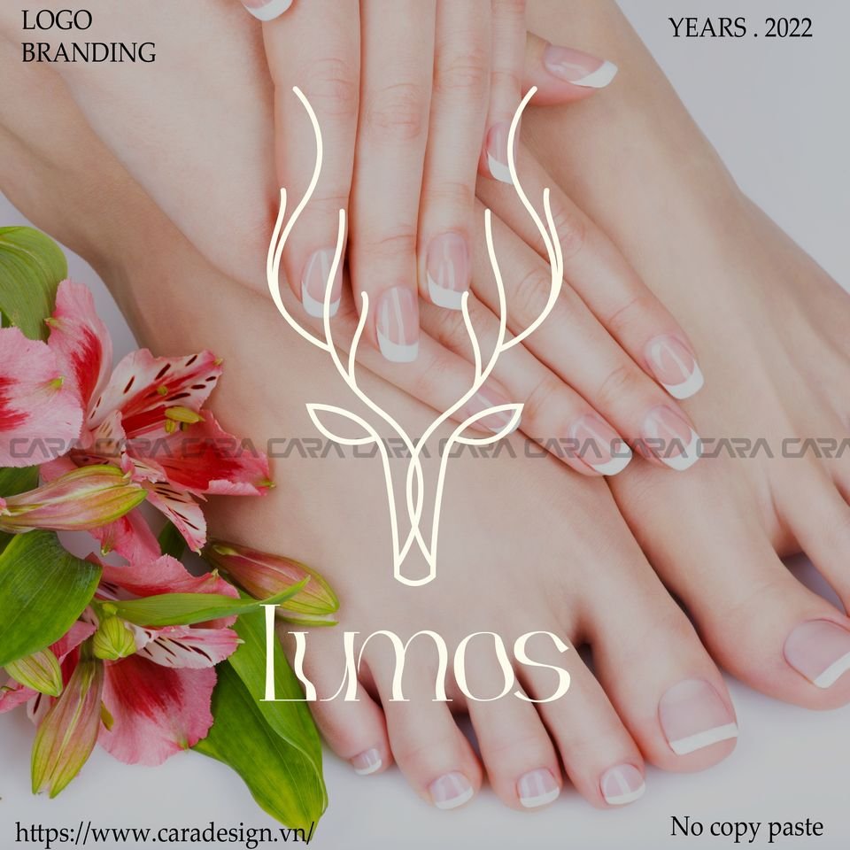 470615706_564013189733423_5076822318739761951_n (1)